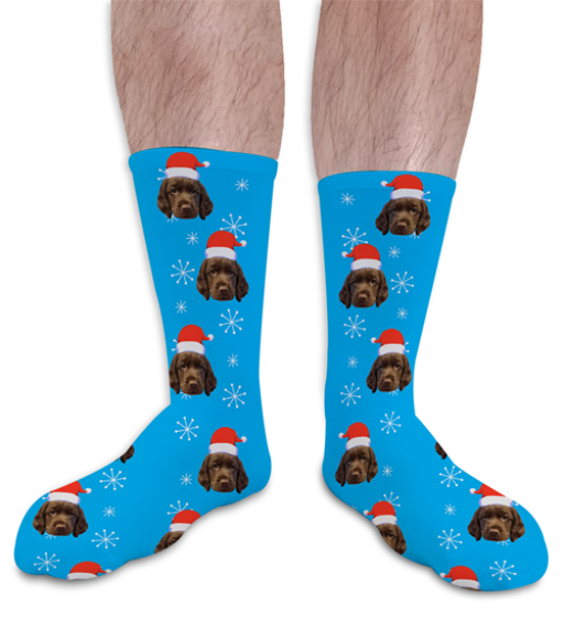Personalised Pet Socks Santa Hat Photo Socks
